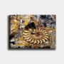 Wallity Lienzo Decorativo Multicolor 70 x 100 cm